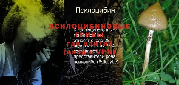 стаф Кукмор