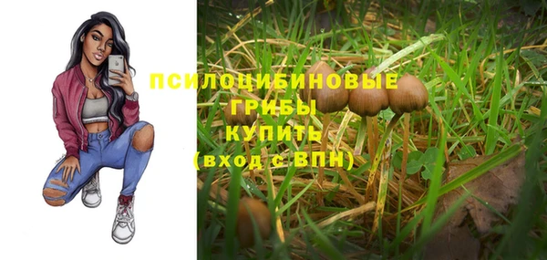 ГАЛЛЮЦИНОГЕННЫЕ ГРИБЫ Кулебаки