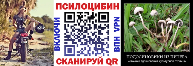 Галлюциногенные грибы Psilocybe  Бобров 