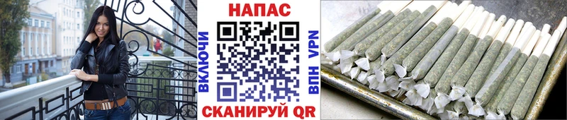 цена наркотик  Бобров  Бошки марихуана сатива 